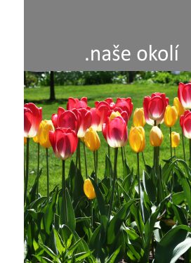 Naše okolí